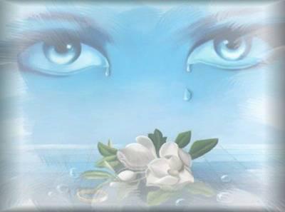 SE SON MES YEUX QUI TE REGARDE